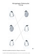 018 pinguin partnersuche einfach lösung.pdf
